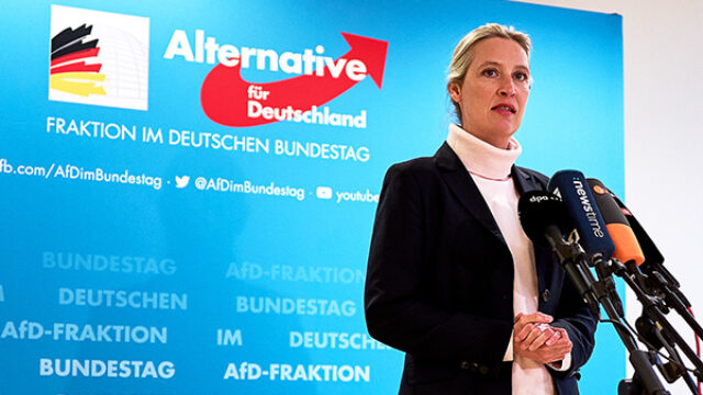 The Upcoming German Federal Election