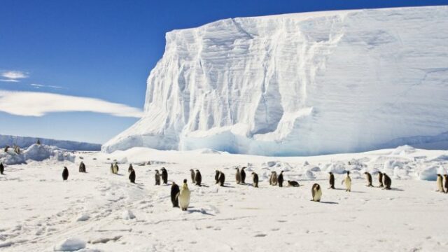 Antarctica Ice Growing Across Large Areas for at Least 85 Years, Aerial Photos Show