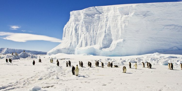 Antarctica Ice Growing Across Large Areas for at Least 85 Years, Aerial Photos Show