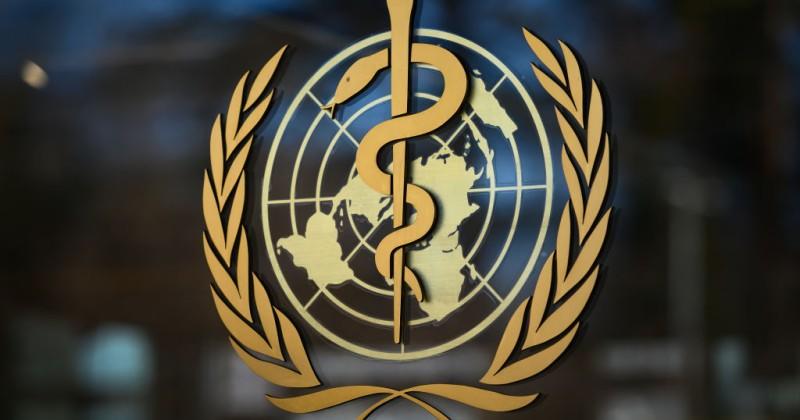 The UN and Its Staff Are a Plague on Humanity