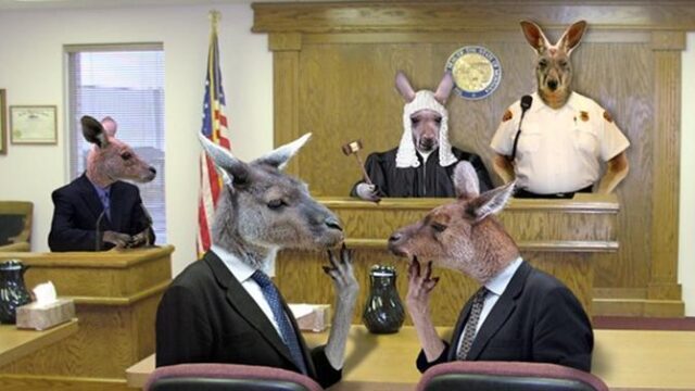 The Judiciary is Attempting to Seize Executive Power