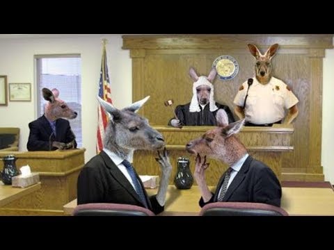 Who’s Defying Court Orders Again?
