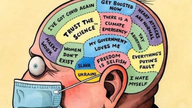 ‘Progressives’ Disconnected from Reality