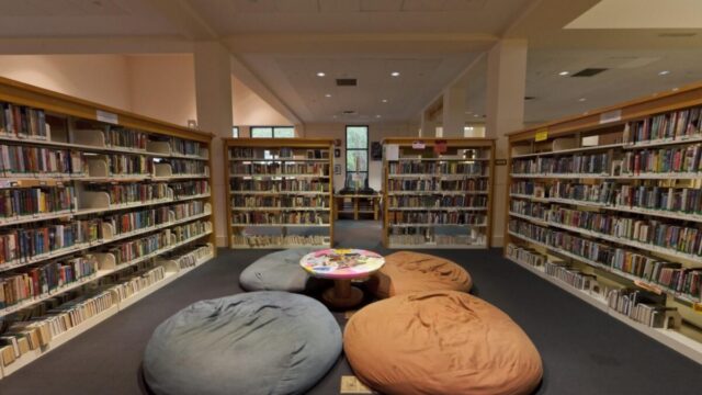 America’s Librarians Became Militantly Political, and Now They Suffer the Consequences