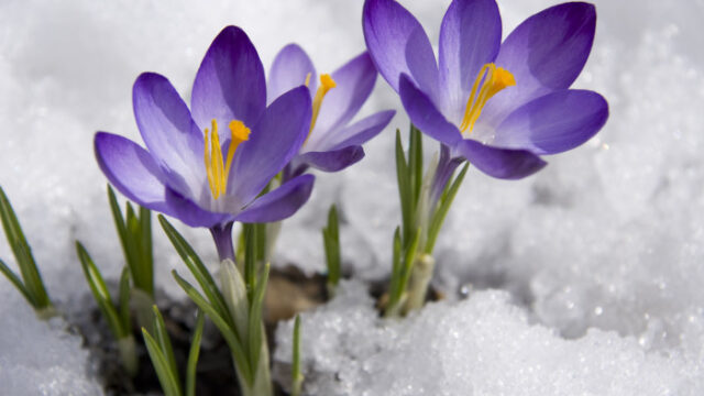 Spring’s Frightful Awakening