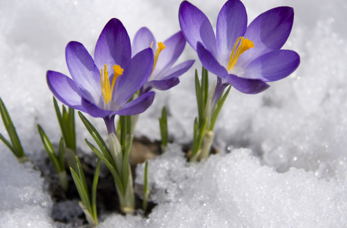 Spring’s Frightful Awakening