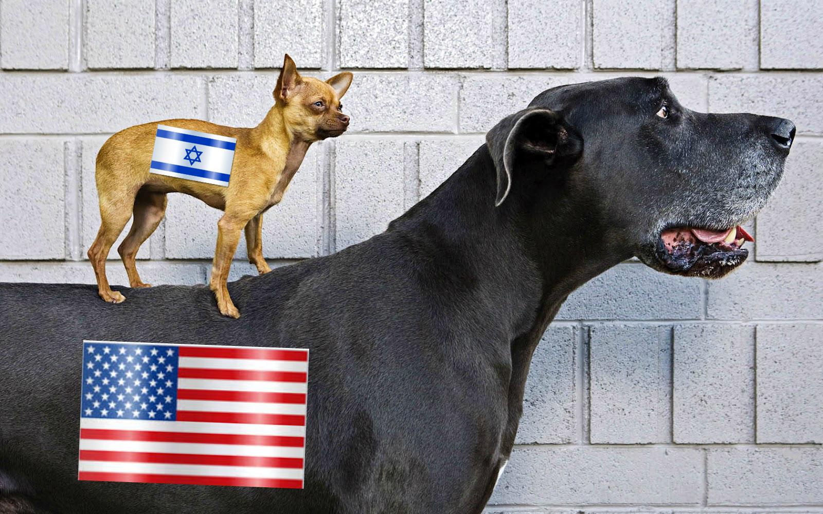The Real Cost of Supporting the Zionist Secular State of Israel