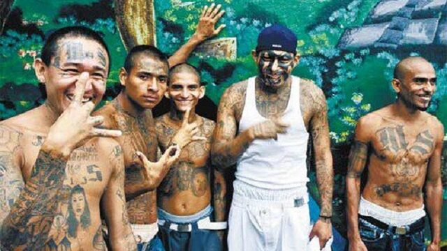 MS-13 Added to LGBTQ Acronym