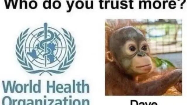 WHO Member States Agree on Draft of ‘Pandemic Treaty’ That Could Be Adopted in May