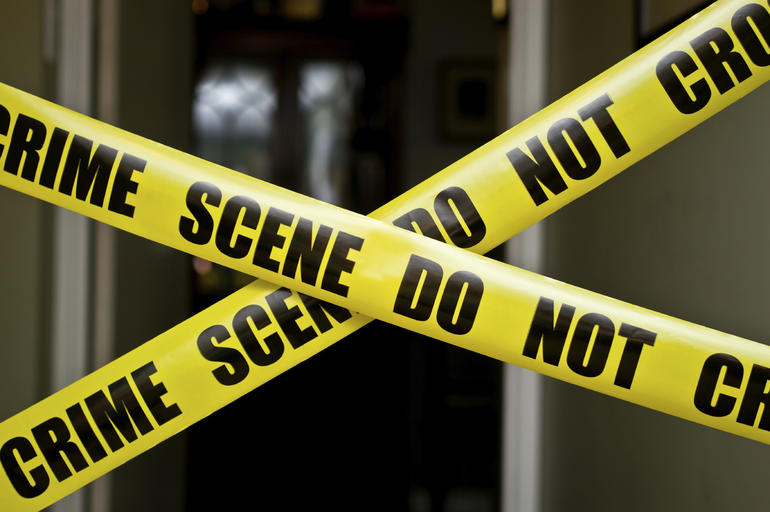 The Race Realist Reasons for the Decline in Crime