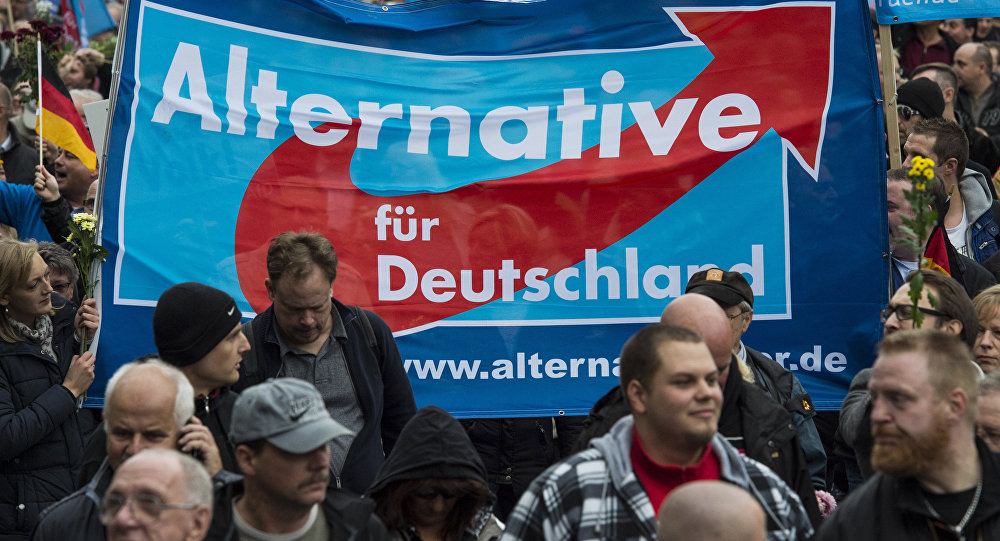 Polls Show Support of Germany’s Anti-Immigration AfD Reaches New High