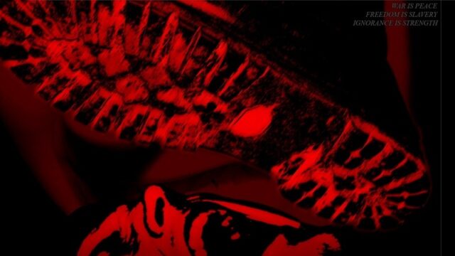 German Officials Arrest Citizens Returning from a Right-Wing Conference