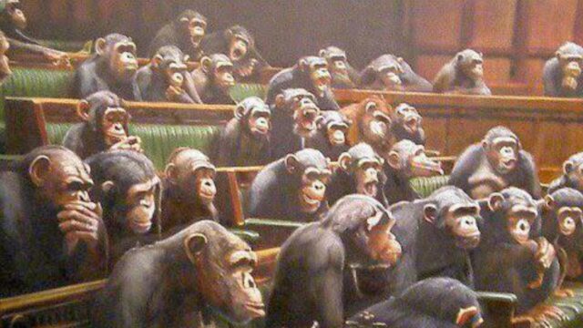 Out of Their Minds on Georgia