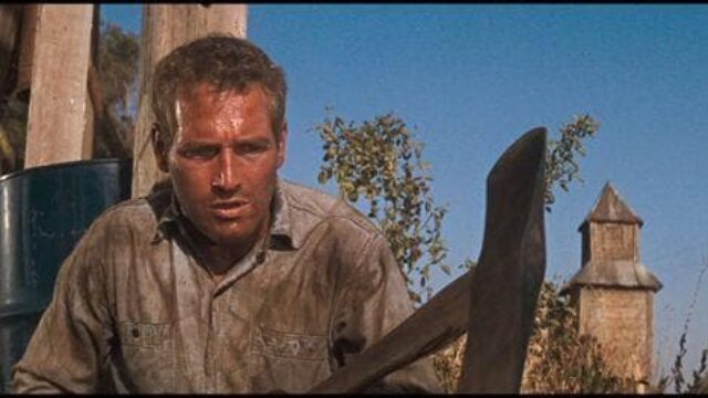 What We Have Here is a Failure to Communicate