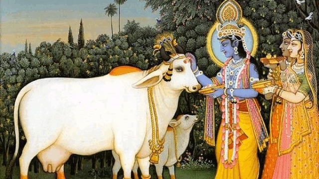 Sacred Cows Are Never Slaughtered