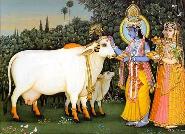 Sacred Cows Are Never Slaughtered