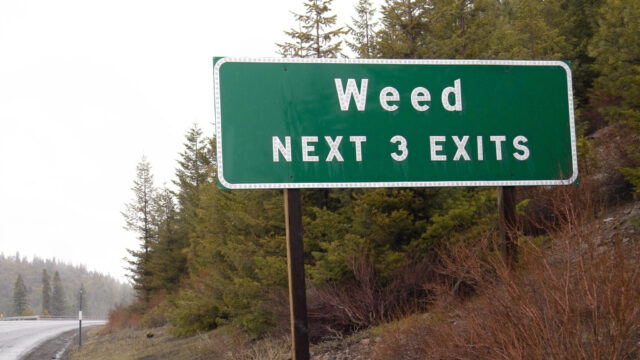 MAGA Should Not Enable Stoner Culture