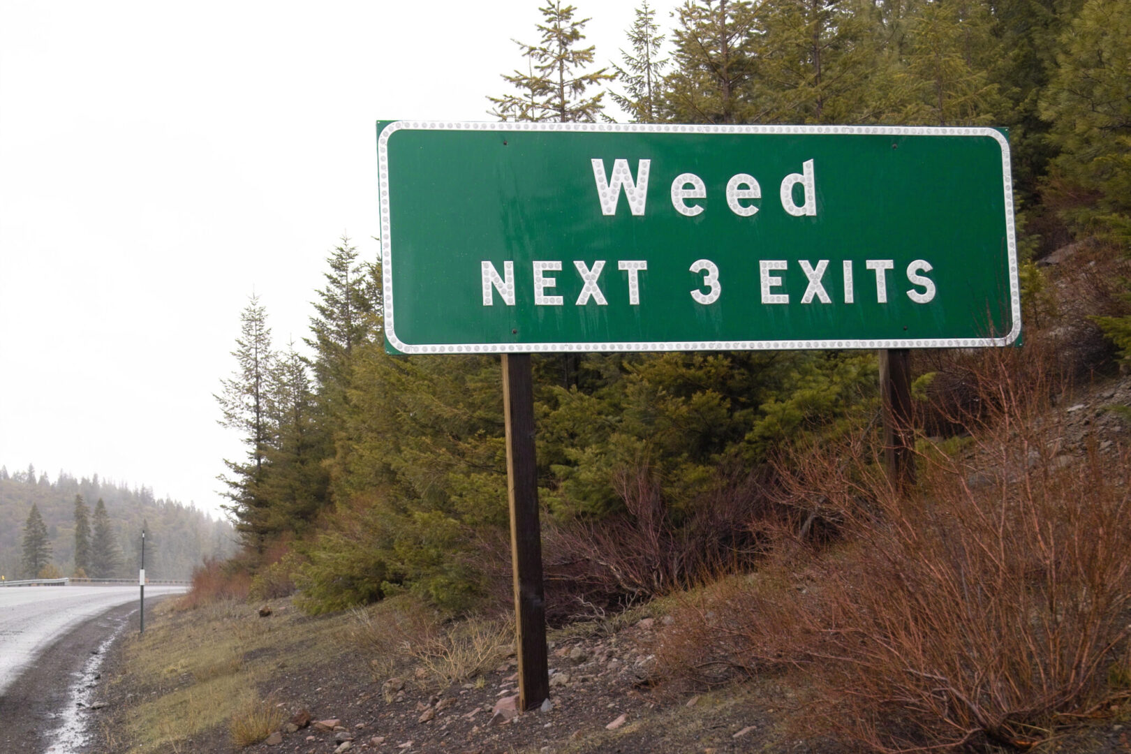 MAGA Should Not Enable Stoner Culture
