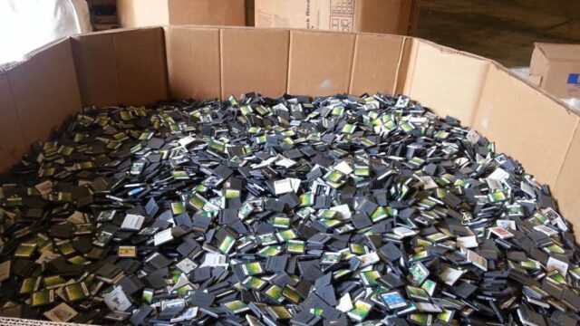 The Collapse We Accept Without a Whimper