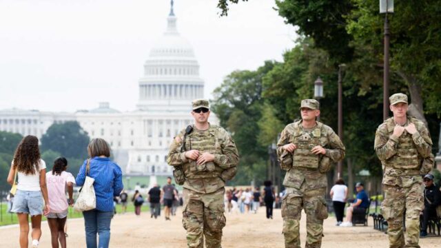 The American Gendarmerie