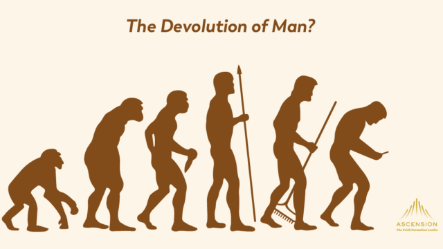 The Vertical Invasion of the Barbarians