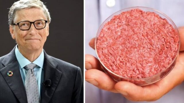 Gates’ Fake Meat Company ‘Almost Worthless’ After Stock Price Crash