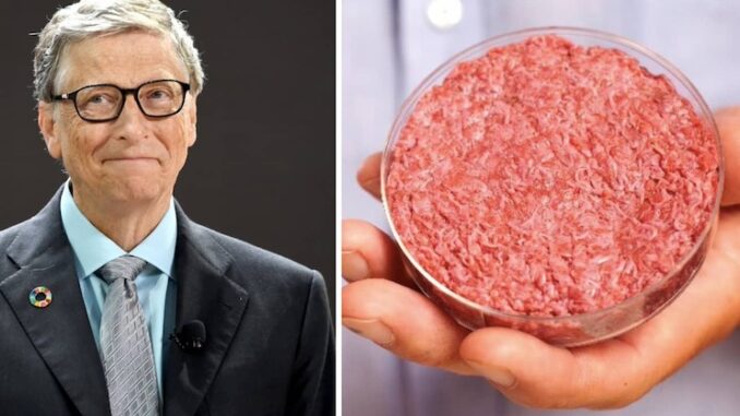 Gates’ Fake Meat Company ‘Almost Worthless’ After Stock Price Crash