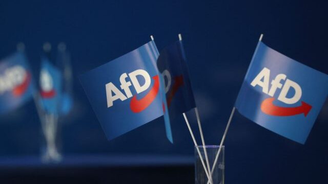 German Establishment Plotting to Cleanse Civil Service of AfD Supporters