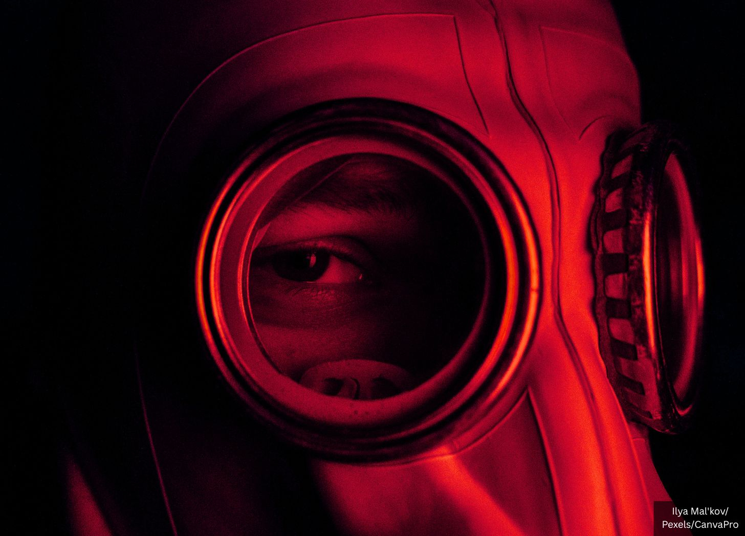 Over 100 ‘BSL-4’ Bioweapons Labs Now Operate Worldwide