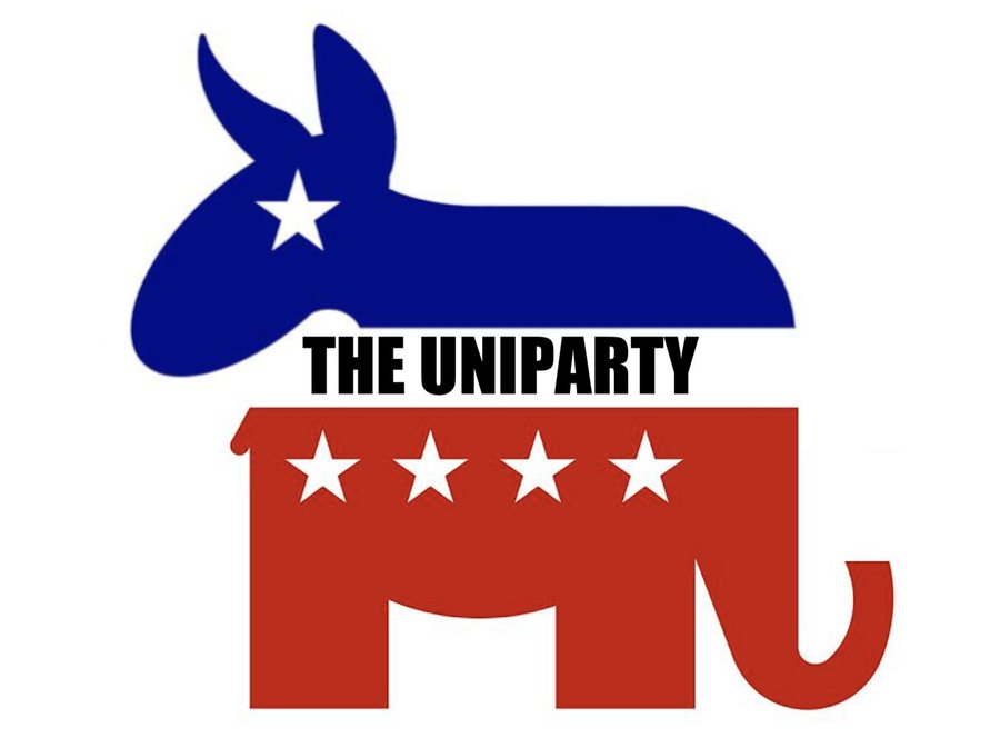 America Needs a Political Party that Represents Americans