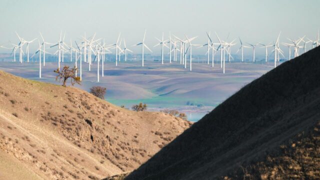 Shocking New Report Lays Out Full Scale of Environmental Damage Caused by Onshore Wind Turbines