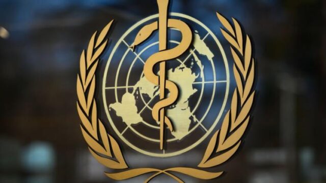 The UN and Its Staff Are a Plague on Humanity