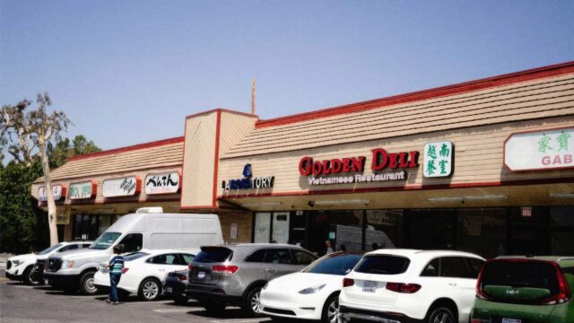 Strip Malls are as American as Apple Pie