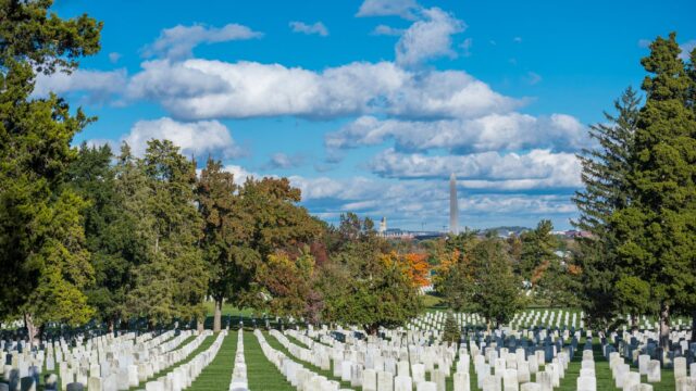 Patriotic Purge: The Real Cost of War