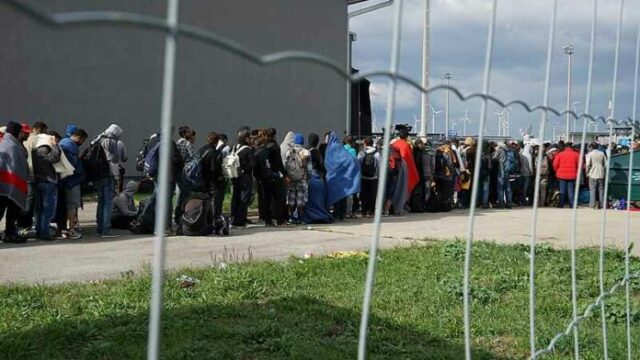 Ukraine Wants to Import Blacks to Replace the Hundreds of Thousands of Whites Killed