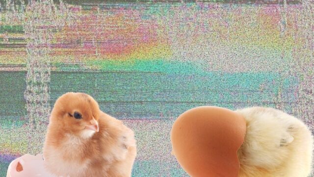 The Chicken-and-Egg Fallacy