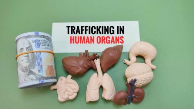 Israel: The Global Leader in Human Organ Trafficking