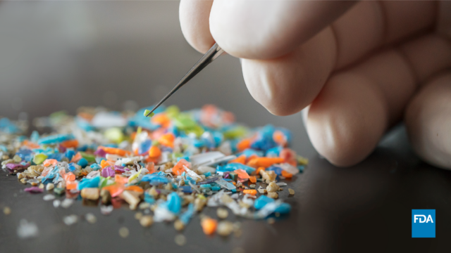Toxic Plastics Causing ‘Silent Epidemic of Kids With Lower IQs’
